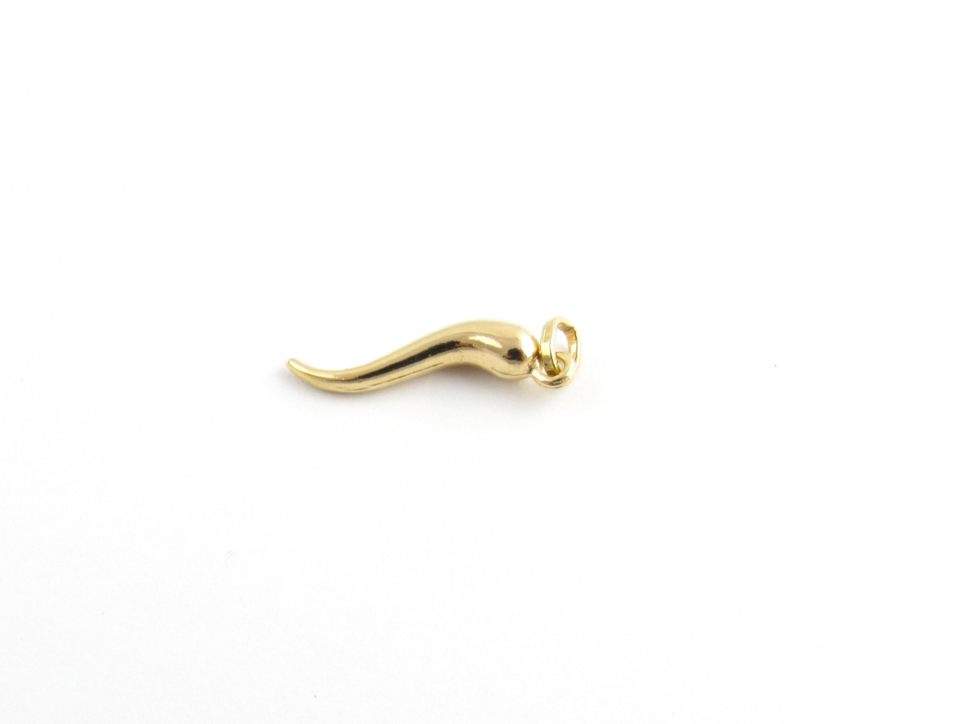 Vintage 18 Karat Yellow Gold Italian Horn Charm

The Italian horn is traditionally worn to ward off the 