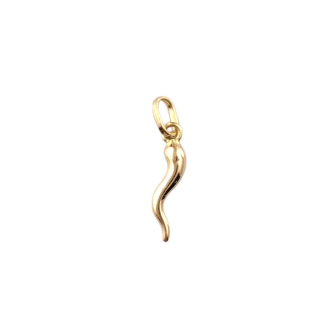 18K Yellow Gold Italian Horn Pendant-

This 18K yellow gold Italian horn pendant features a sleek, curved design with a polished finish, symbolizing protection and good fortune. The rich yellow gold enhances its timeless appeal, making it a