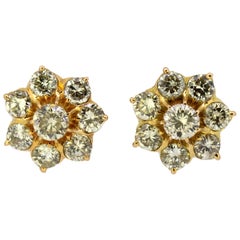 Victorian More Earrings