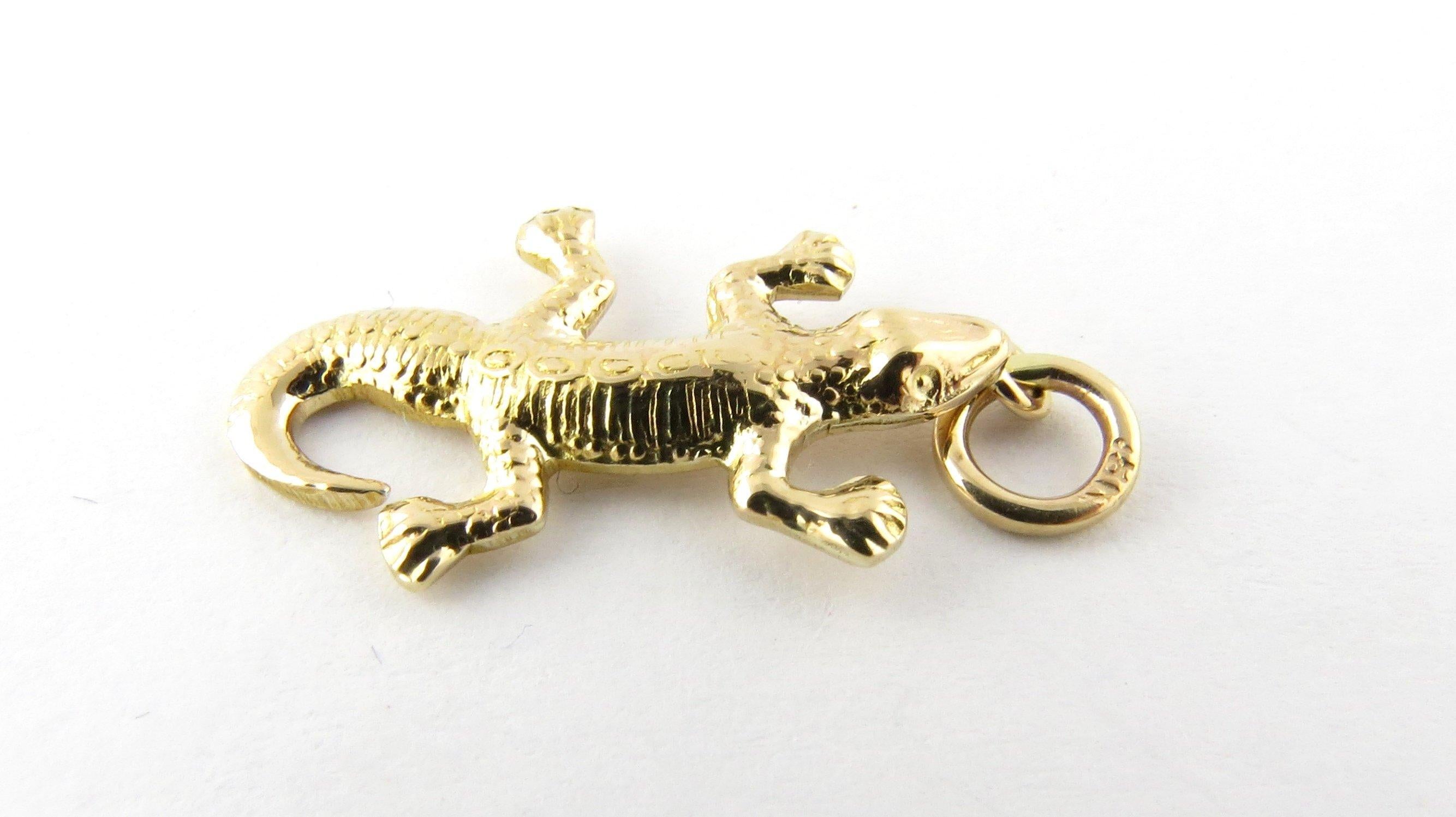 Vintage 18 Karat Yellow Gold Lizard Charm
This little fellow is sure to bring you good luck! 
This adorable charm features a miniature lizard meticulously detailed in 14K yellow gold. 
Size: 25 mm x 15 mm (actual charm) 
Weight: 1.2 dwt. / 1.9 gr.