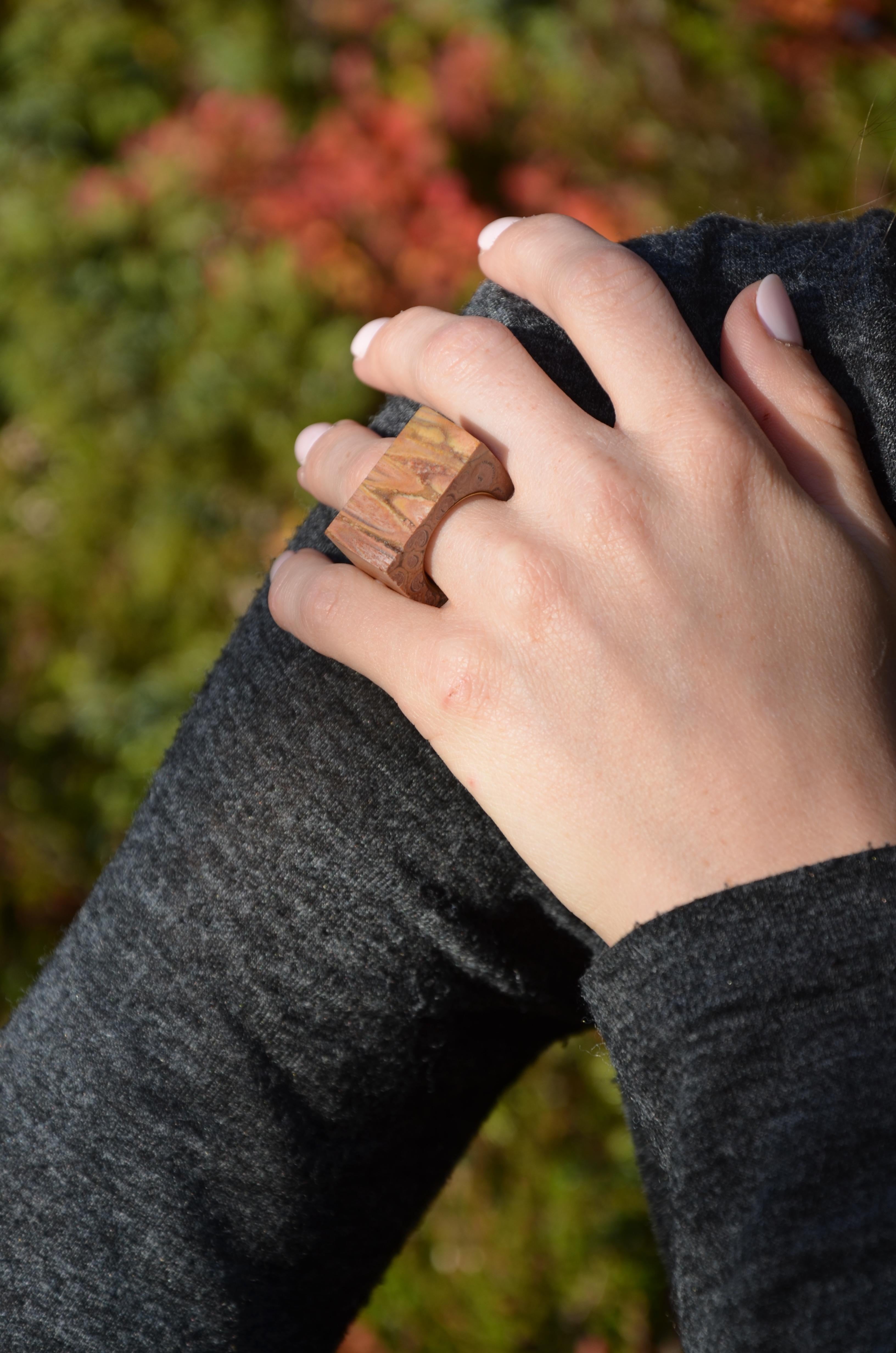 18 Karat Gelbgold Ring aus versteinertem Holz für Damen oder Herren im Angebot
