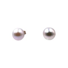 Pearl Stud Earrings