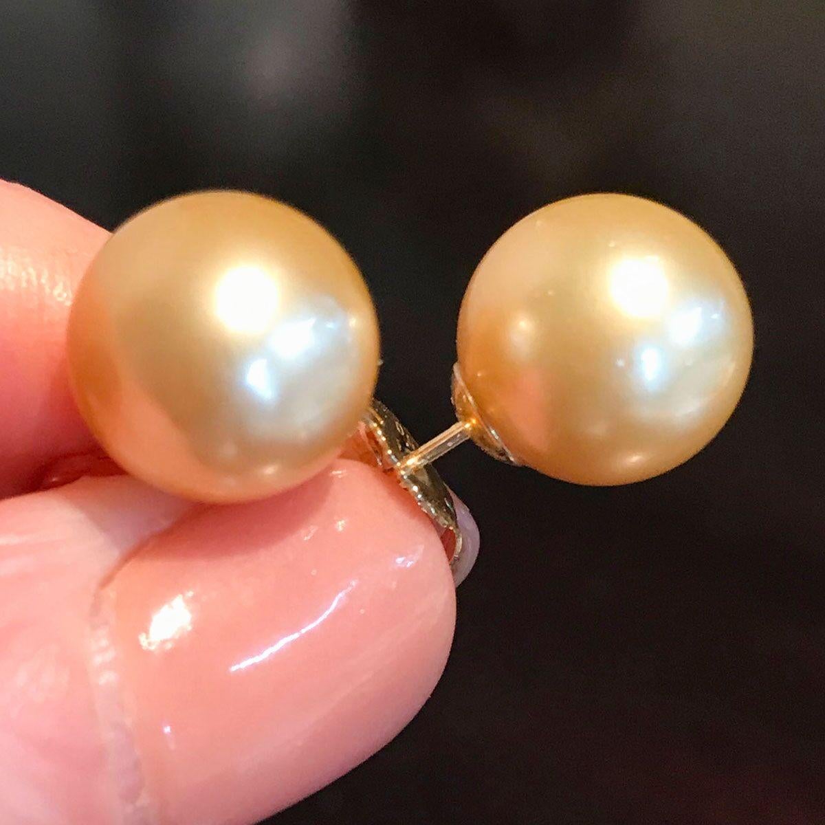 18 Karat Yellow Gold South Sea Gold Pearl Stud Earrings For Sale 4