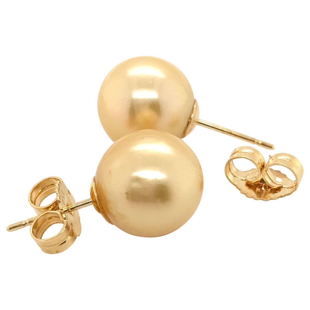 18 Karat Yellow Gold South Sea Gold Pearl Stud Earrings In New Condition For Sale In QLD , AU