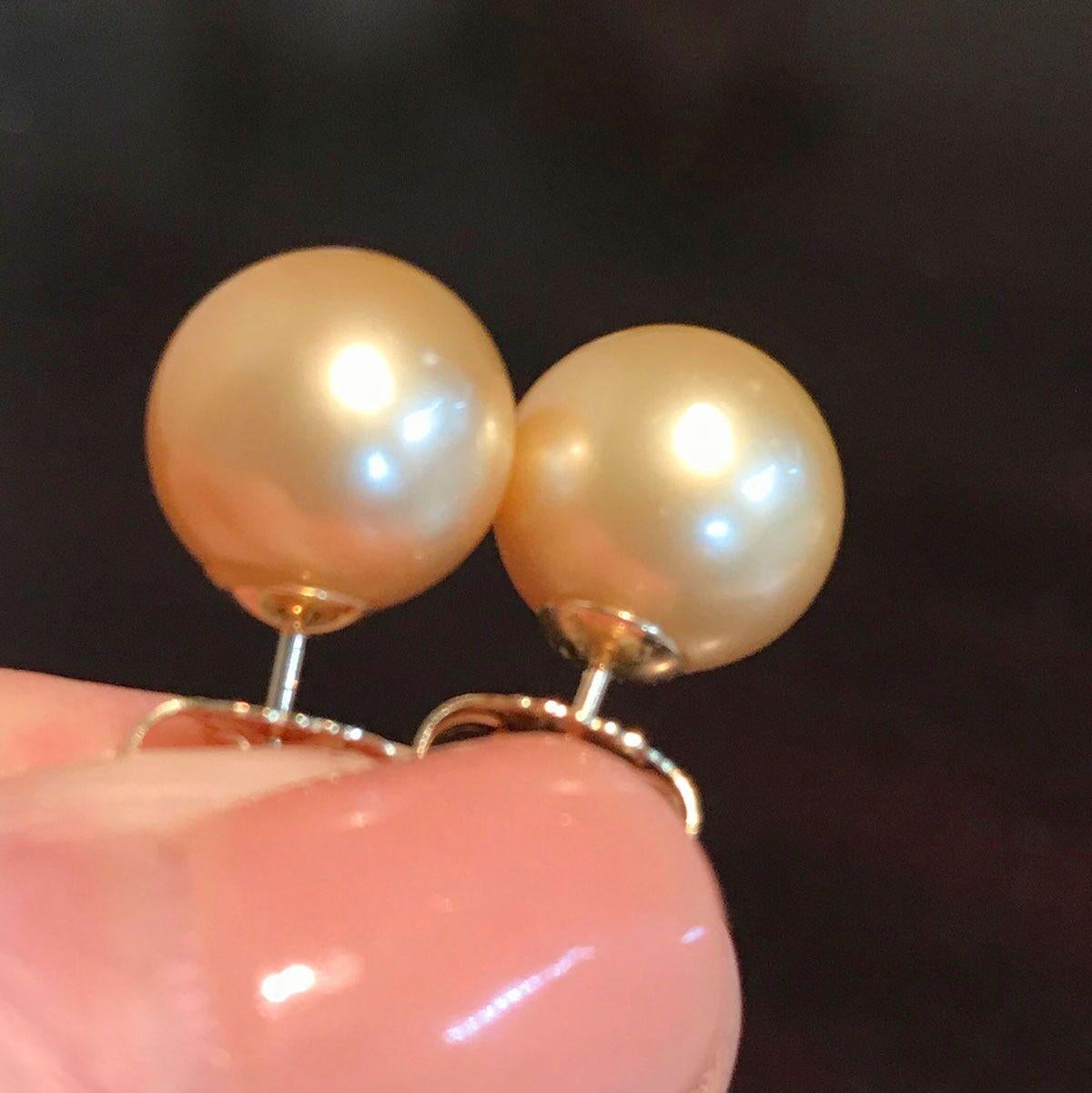 18 Karat Yellow Gold South Sea Gold Pearl Stud Earrings For Sale 1
