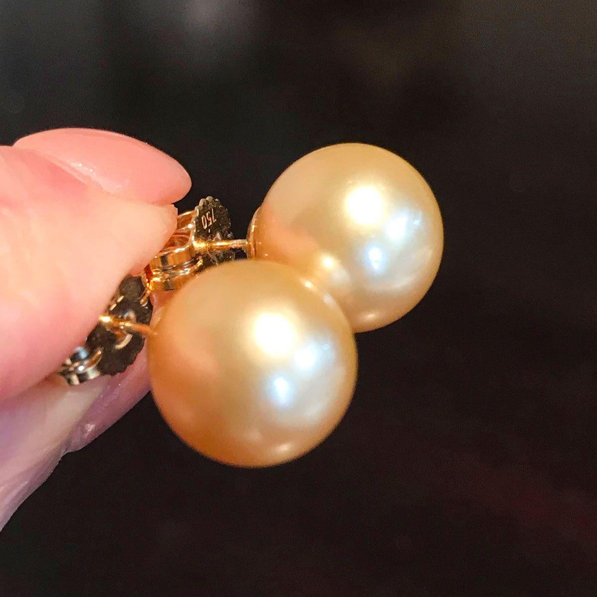 18 Karat Yellow Gold South Sea Gold Pearl Stud Earrings For Sale 2