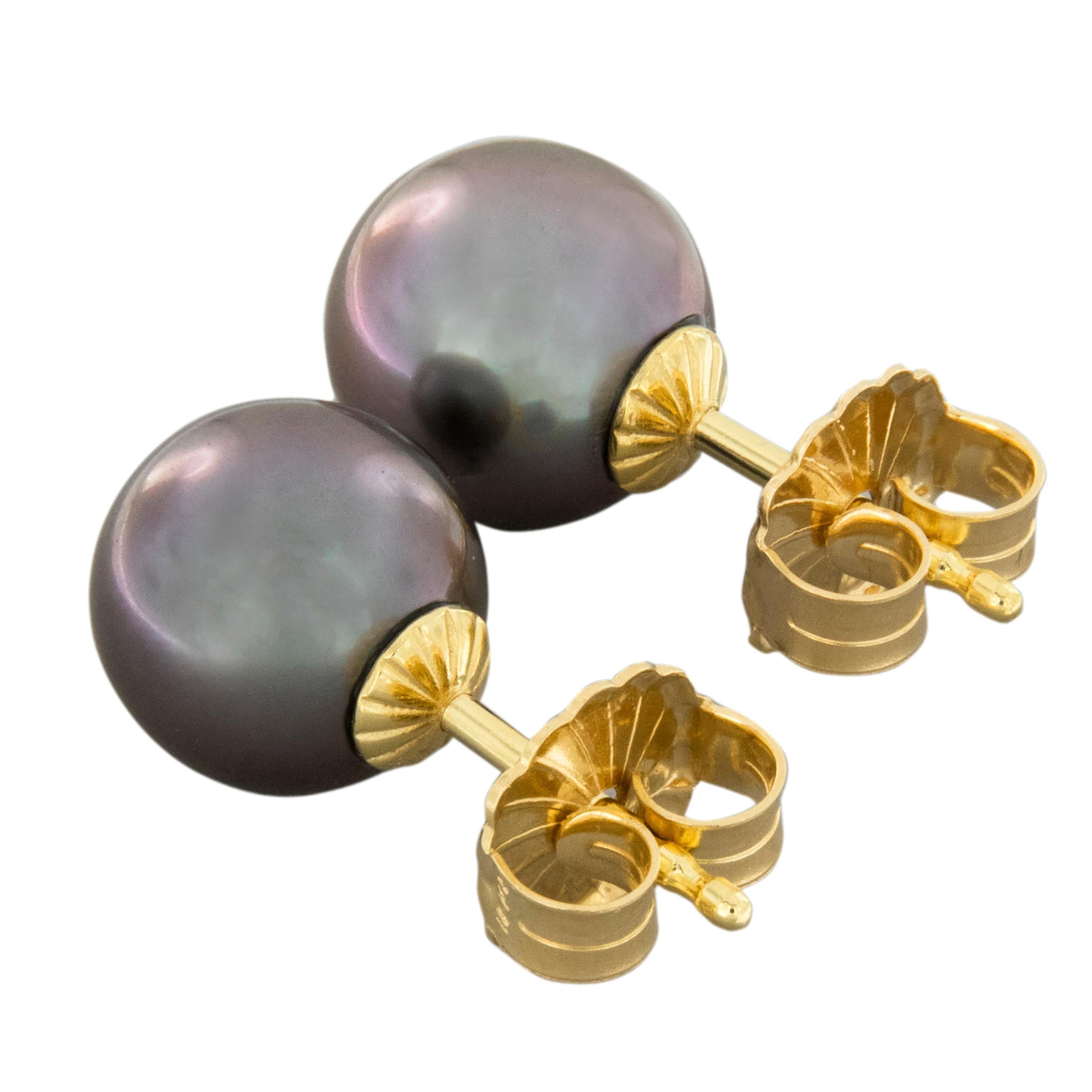 18 Karat Yellow Gold Tahitian South Sea Pearl Stud Earrings