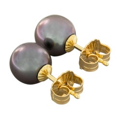 18 Karat Yellow Gold Tahitian South Sea Pearl Stud Earrings