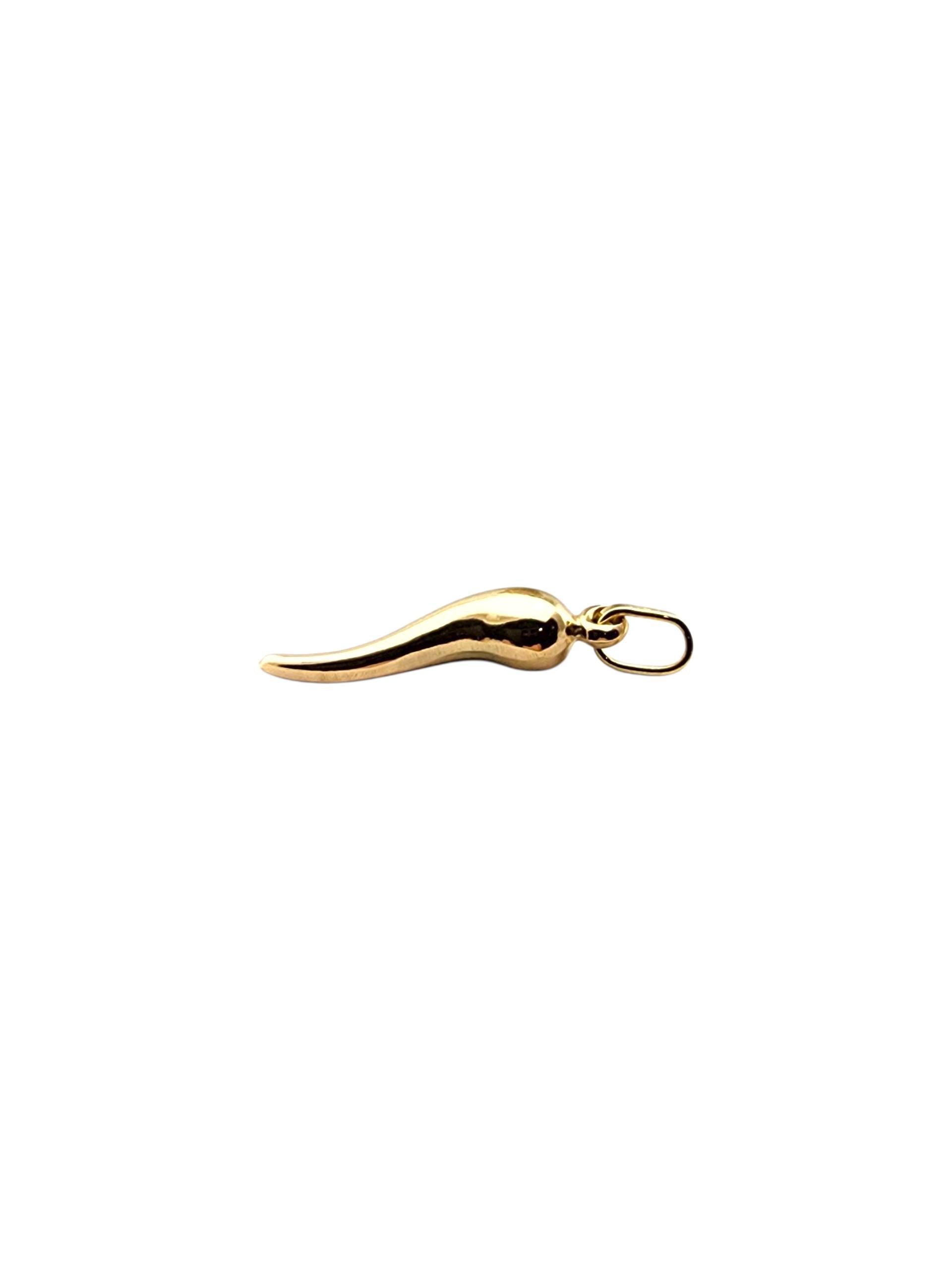 Pendentif en corne italienne, jaune 18 carats -

Ce pendentif en corne italienne en or jaune 18 carats présente une finition polie et un design incurvé élégant. Un symbole traditionnel censé apporter protection et bonne fortune, parfait pour être