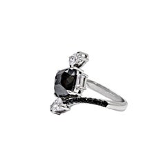 18 Karat White Gold Ring with White and Black Diamonds
