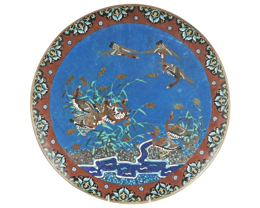 Ancienne assiette d'intérieur ou chargeur japonais en cuivre avec un motif en émail cloisonné. Période Meiji

La partie centrale de l'assiette est décorée d'une image de canards au bord de la rivière, parmi les roseaux.

Les bords sont ornés de
