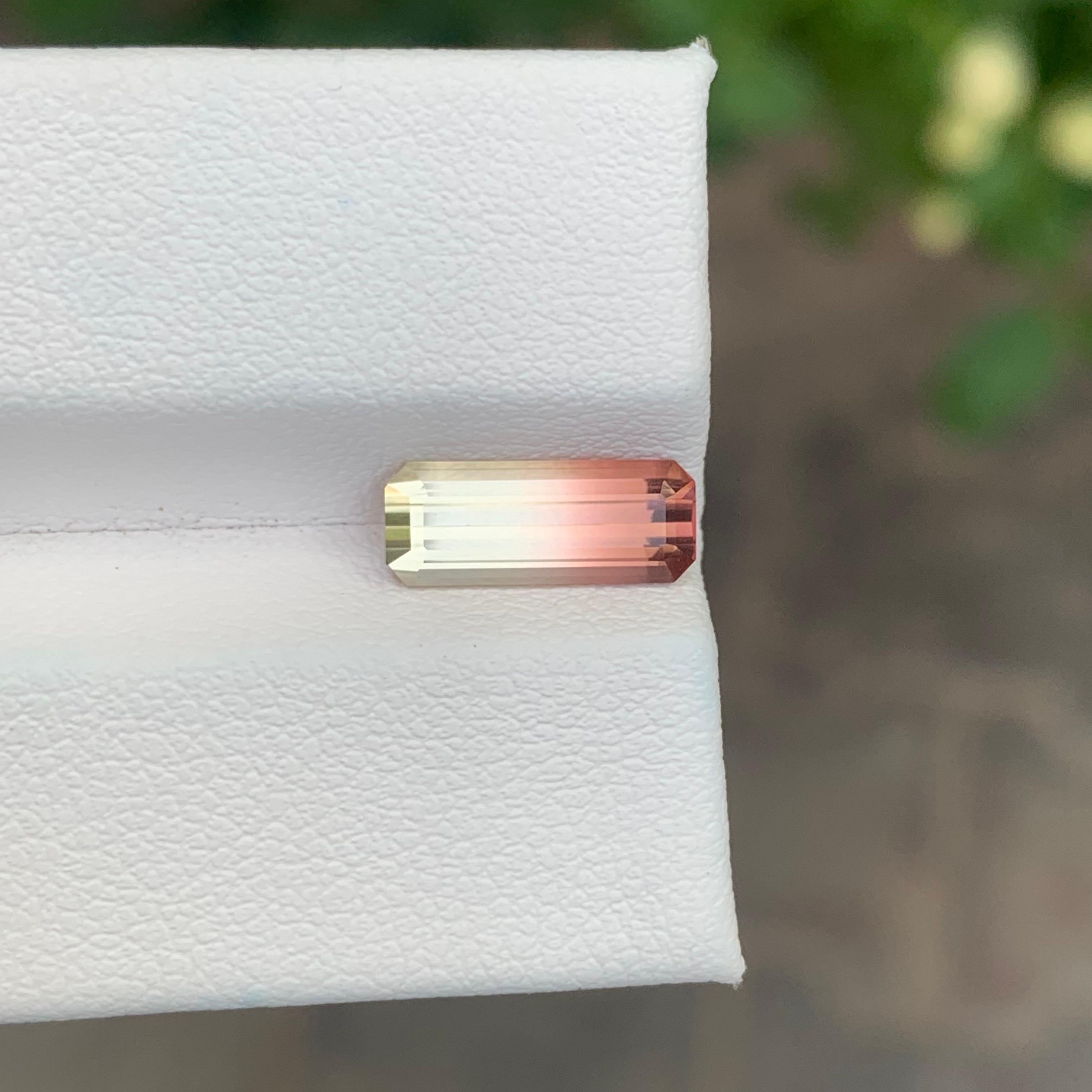 Tourmaline bicolore facettée

Poids : 1,80 carat
Dimension : 11,6 x 4,6 x 3,6 mm
Couleur : jaune et rose pêche 
Origine : Afrique 
Traitement : Non
Certificat : Sur demande du client


La tourmaline est une pierre précieuse captivante connue pour sa
