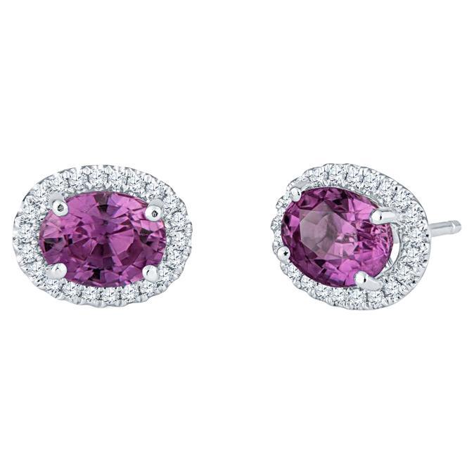 1.80 Carat Total Weight Oval Cut Natural Pink Sapphire & Diamond Halo Studs For Sale
