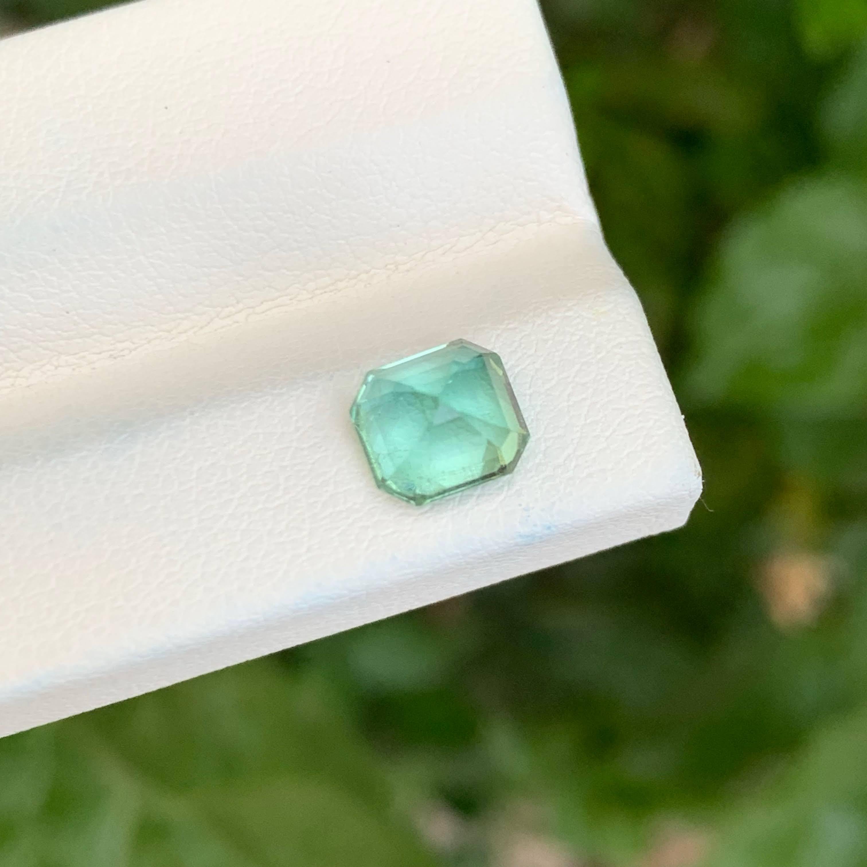 Peso 1,80 carati
Dimensioni 7x6,3x5,7 mm
Trattamento Nessuno
Origine afgana
Pulizia degli occhi di chiarezza
Forma Ottagono
Tagliare Asscher
NA


Acquista una pietra di tormalina blu da 1,80 carati - Autentica gemma afgana con taglio Asscher

Scopri