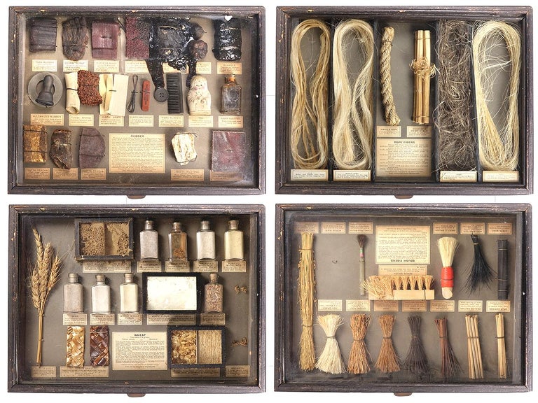 1800s of Educational Collections at 1stDibs