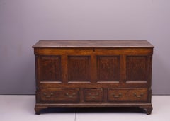 1800s Lancashire Oak Mule Chest Trunk Blanket Box Antique Cabinet Credenza