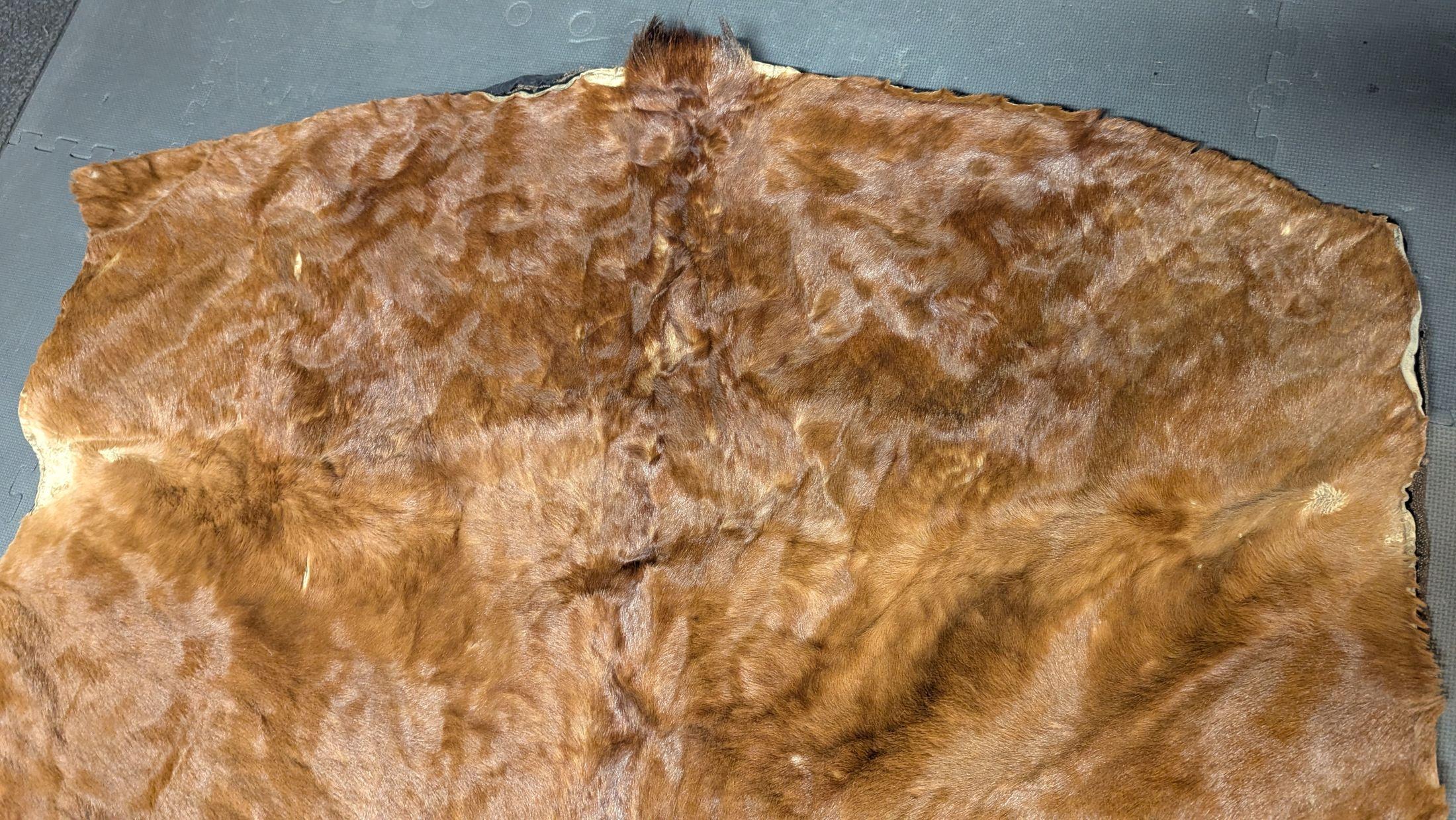 Americano Coperta da giro con slitta del 1800 in vendita