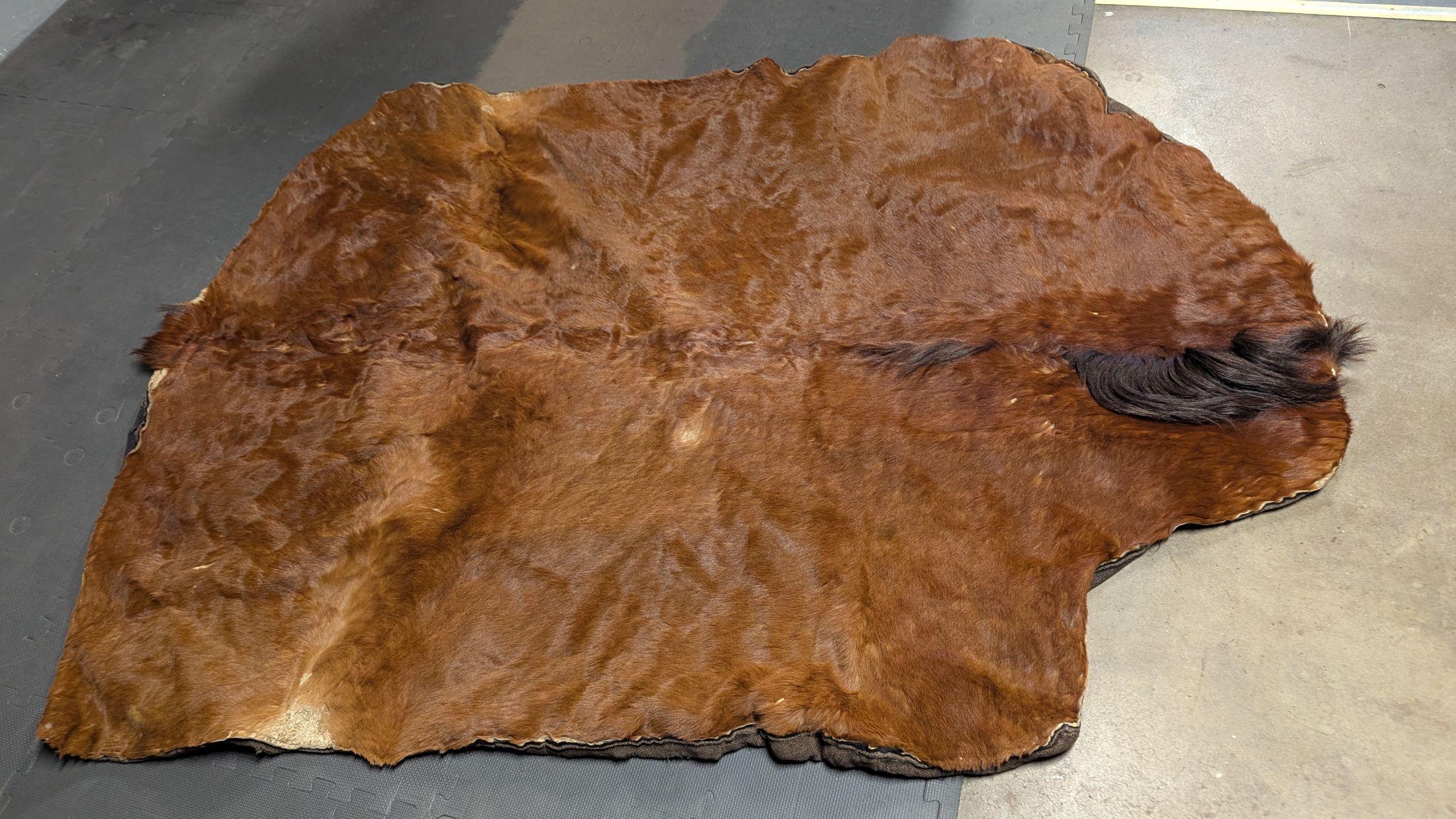 Coperta da giro con slitta del 1800 In condizioni buone in vendita a Pueblo, CO