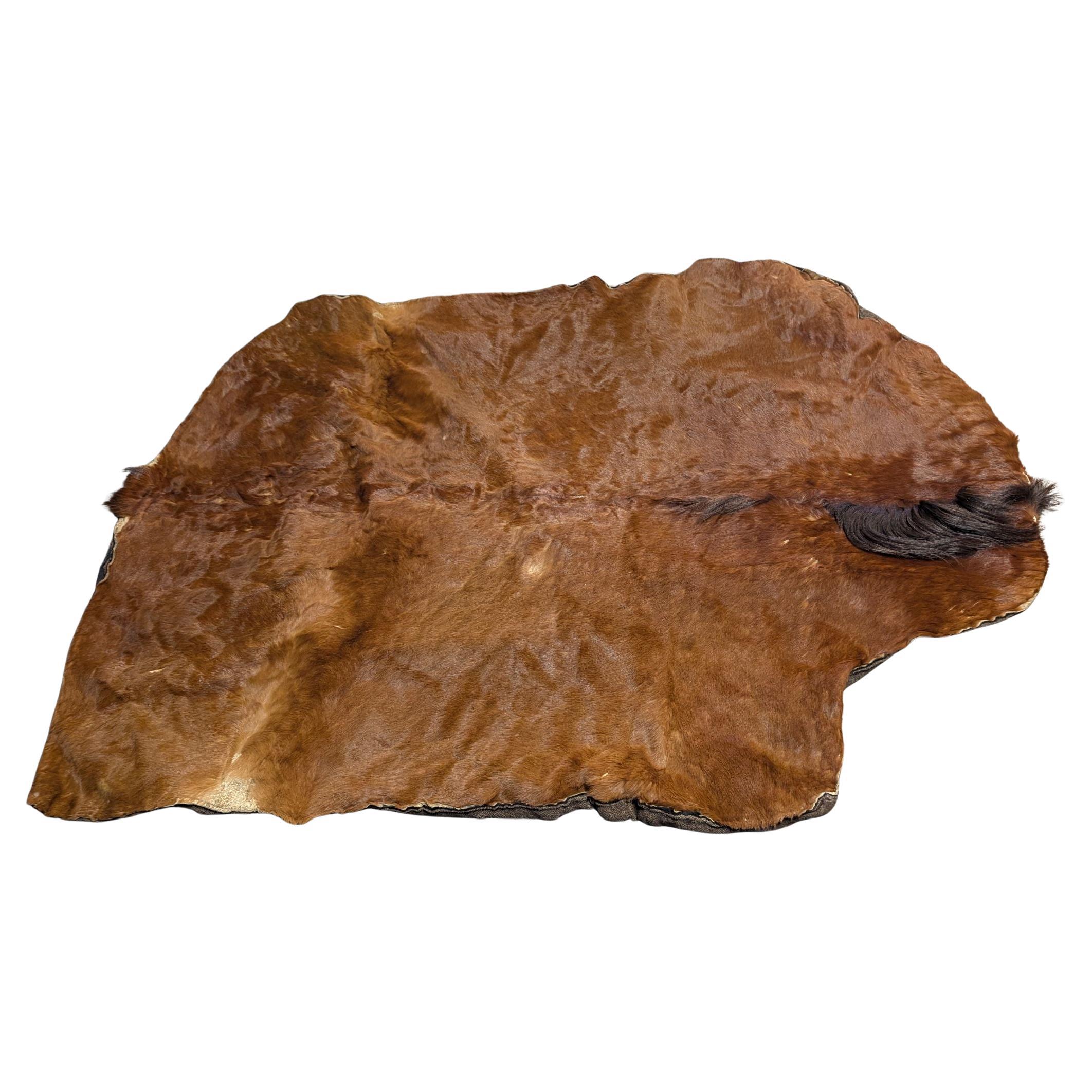 Coperta da giro con slitta del 1800 in vendita