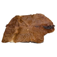 1800s Sleigh Lap Blanket