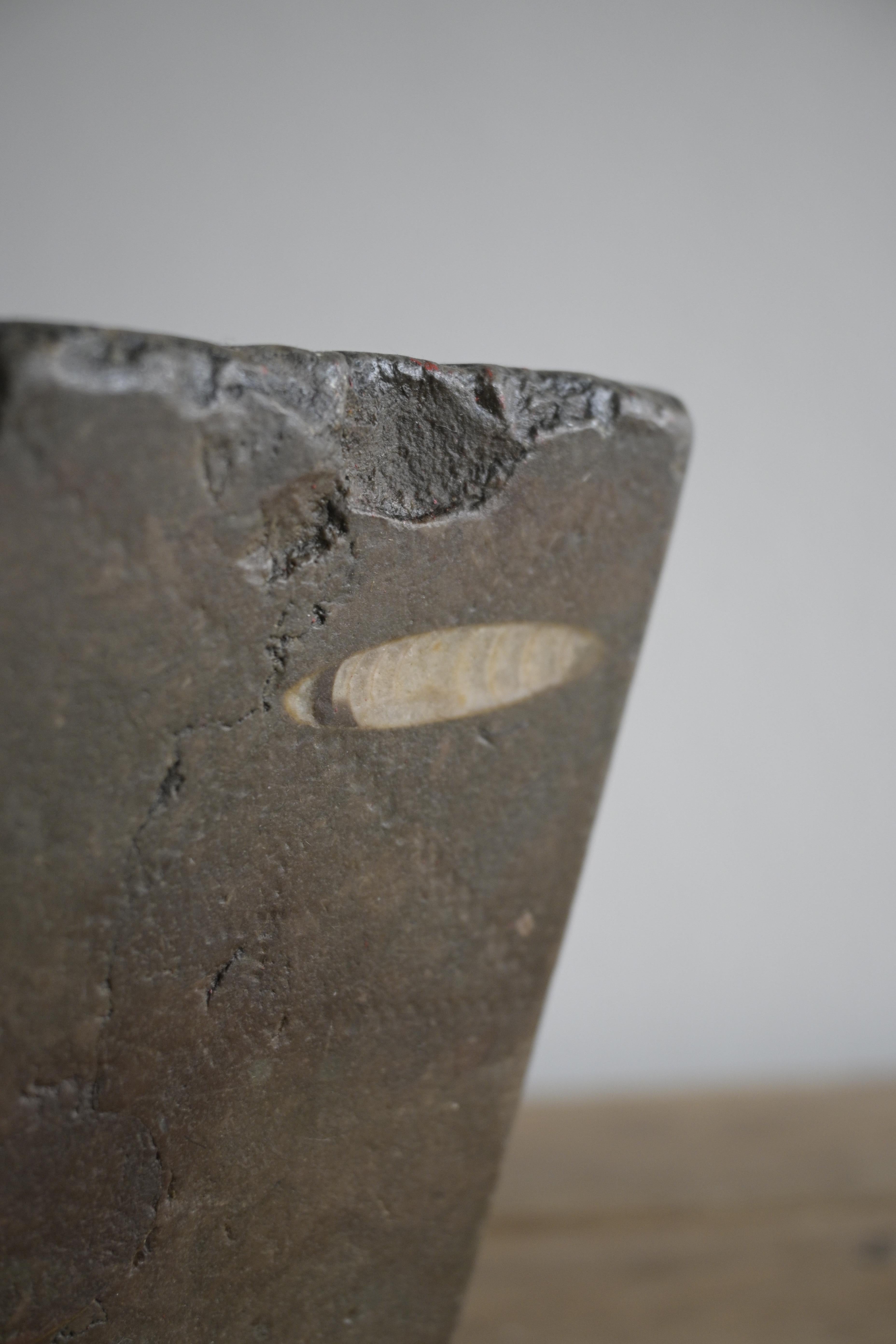 Dans les années 1800, de nombreux Suédois utilisaient des mortiers en pierre calcaire d'Öland.
Ils étaient connus pour leur durabilité et leur capacité à résister à l'usure du temps.

Belle patine et belle profondeur des couleurs.