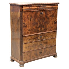 1800s Tall Secretary with Lower Chest of Drawers