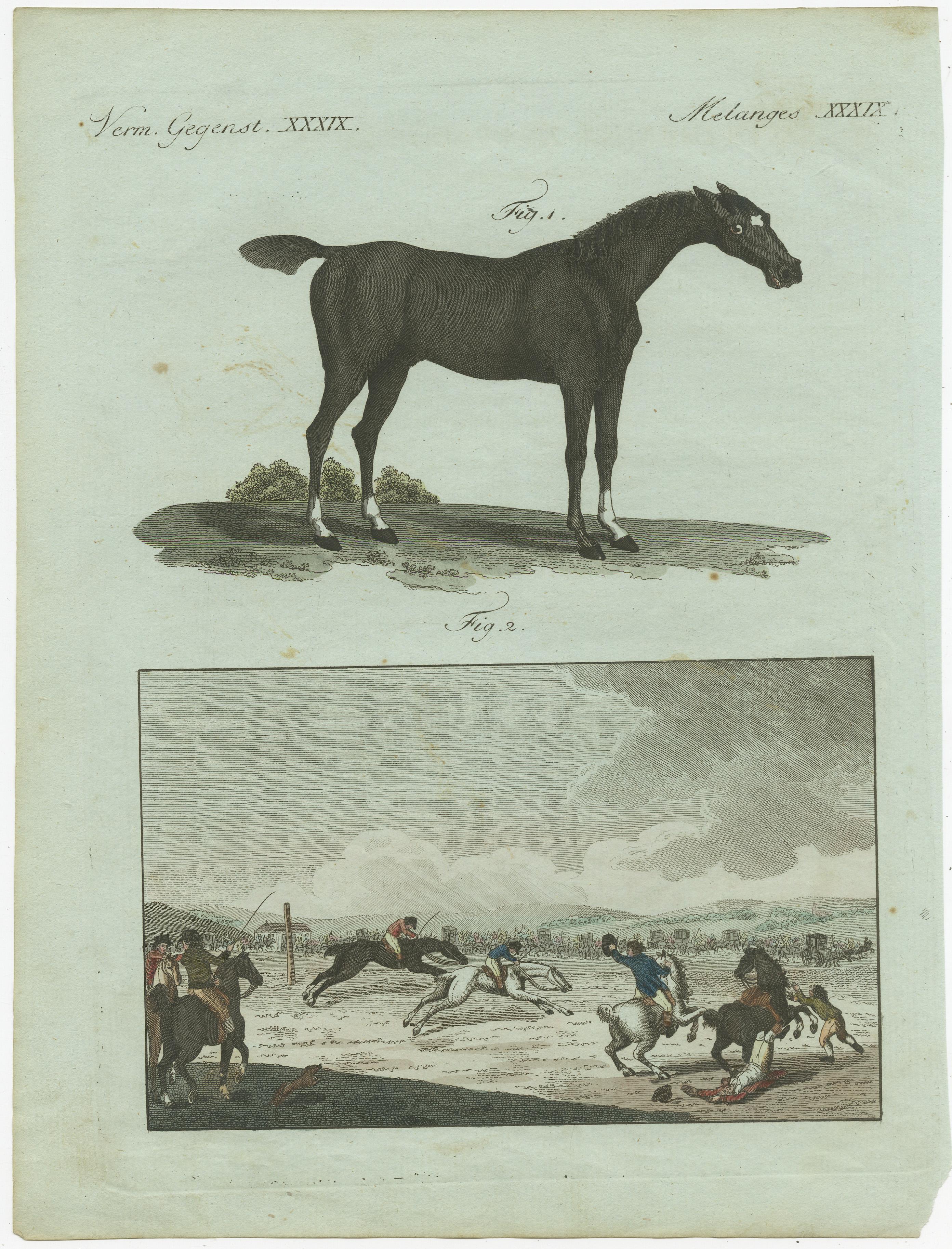 Titel: 1802 Handkolorierter Druck einer englischen Rennpferde- und Rennbahnszene

Beschreibung: Dieser detailreiche, handkolorierte Kupferstich aus dem 1802 in Weimar erschienenen 