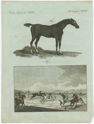 1802 Hand-Colored Print of English Racing Horse and Race Track Scene, view 2