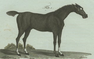 1802 Hand-Colored Print of English Racing Horse and Race Track Scene, view 4