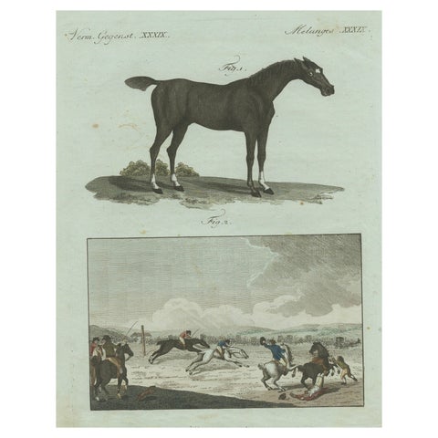 1802 Hand-Colored Print of English Racing Horse and Race Track Scene
