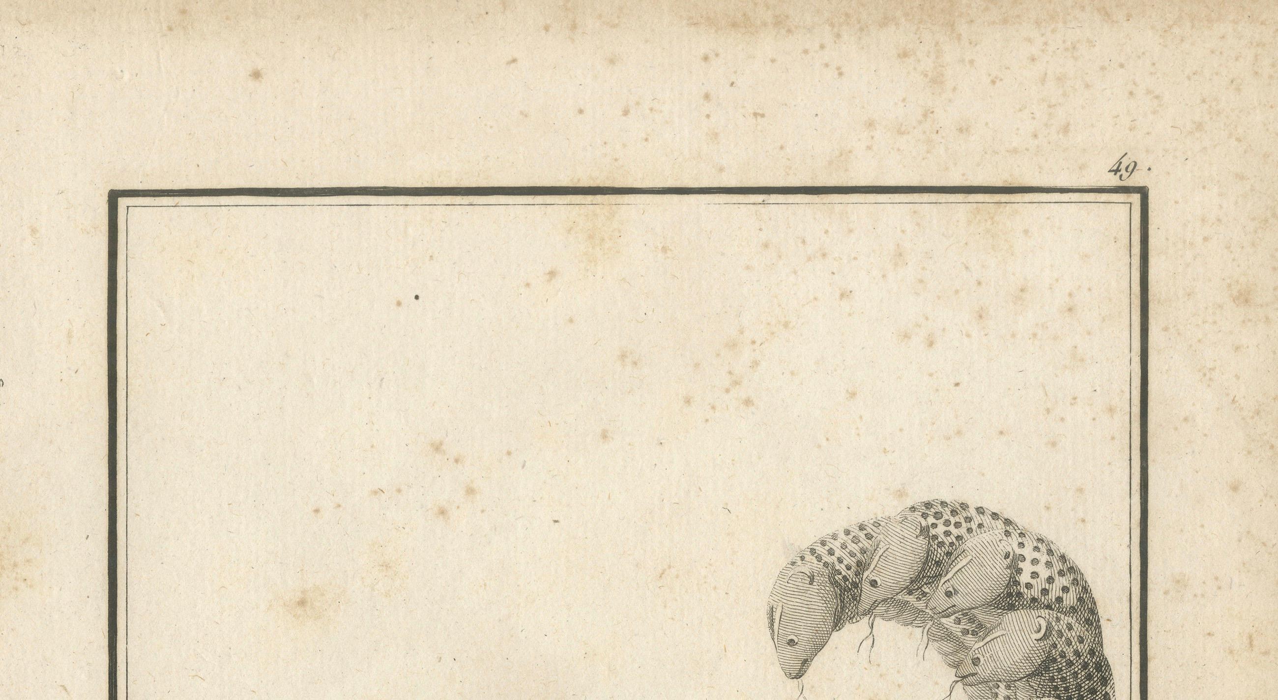 Title: 1806 Engraving: Vishnu's Cosmic Repose on Serpent Ananta in Hindu Mythology

Description: This serene antique print, titled Vichenou, Couché sur le Serpent Abychen (or Adysechen?), portrays the Hindu deity Vishnu in a state of cosmic rest,