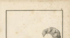 1806 Engraving: Vishnu's Cosmic Repose on Serpent Ananta in Hindu Mythology