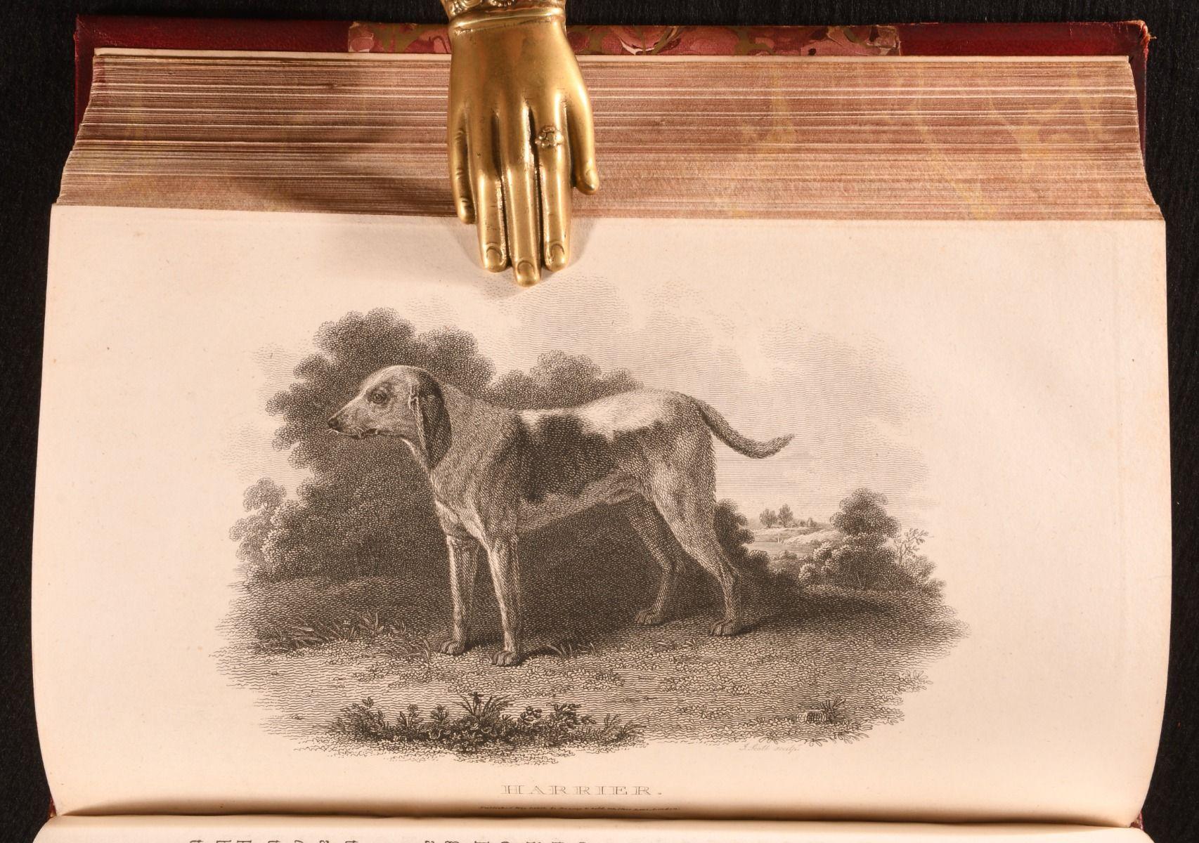 1807-13 Rural Sports siglo XIX en venta