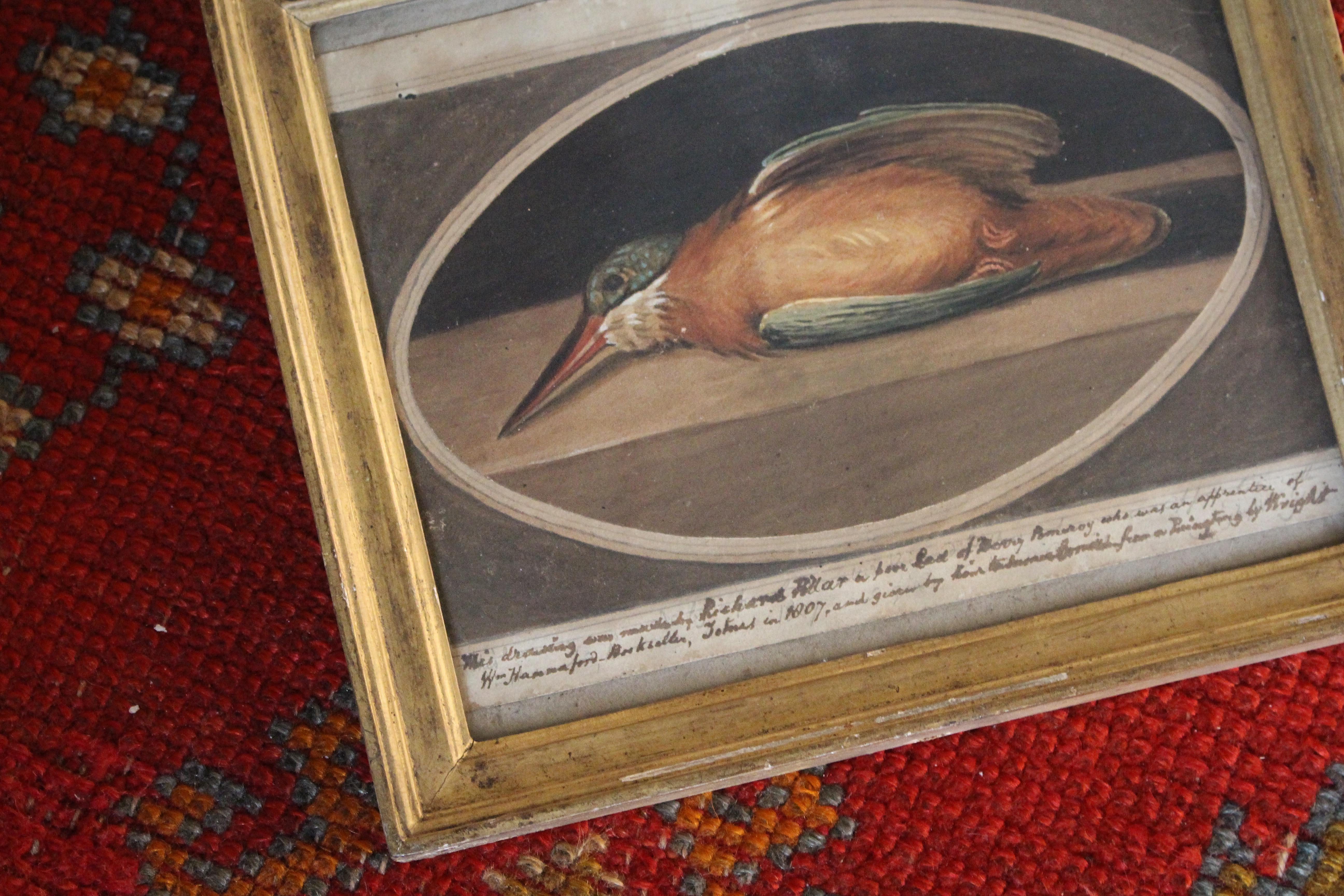 1807 British School Studies Dead Robin & Kingfisher von Richard Pillar, A Fair Lad, British School Studies im Angebot 3