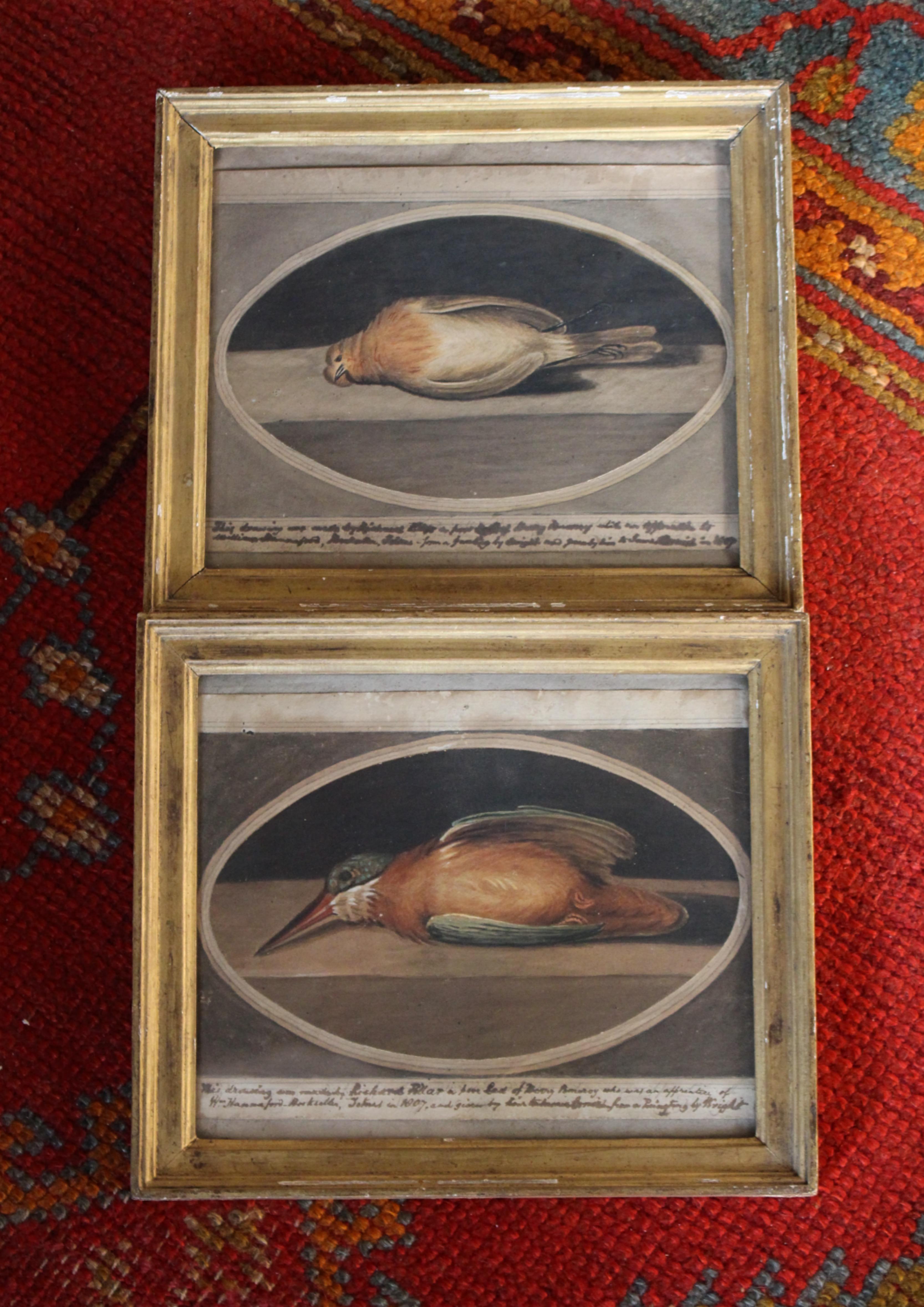 1807 British School Studies Dead Robin & Kingfisher von Richard Pillar, A Fair Lad, British School Studies im Angebot 2