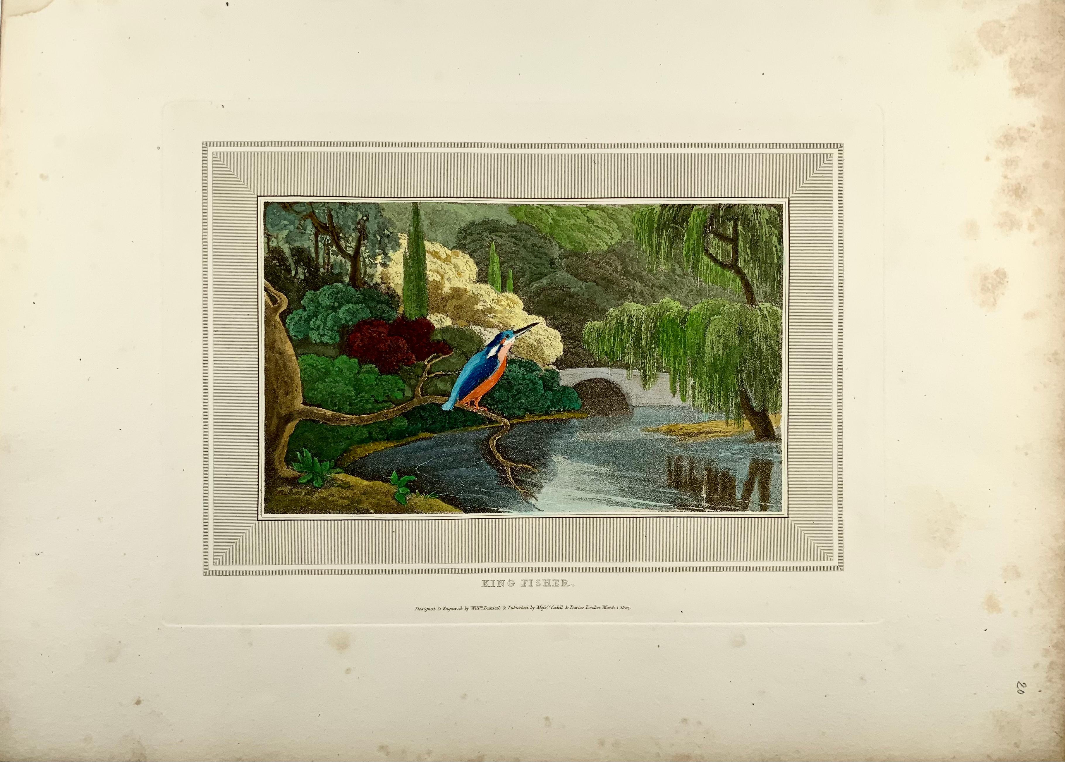 English 1807 William Daniell, Kingfisher, Ornithology, Hand Coloured Aquatint For Sale