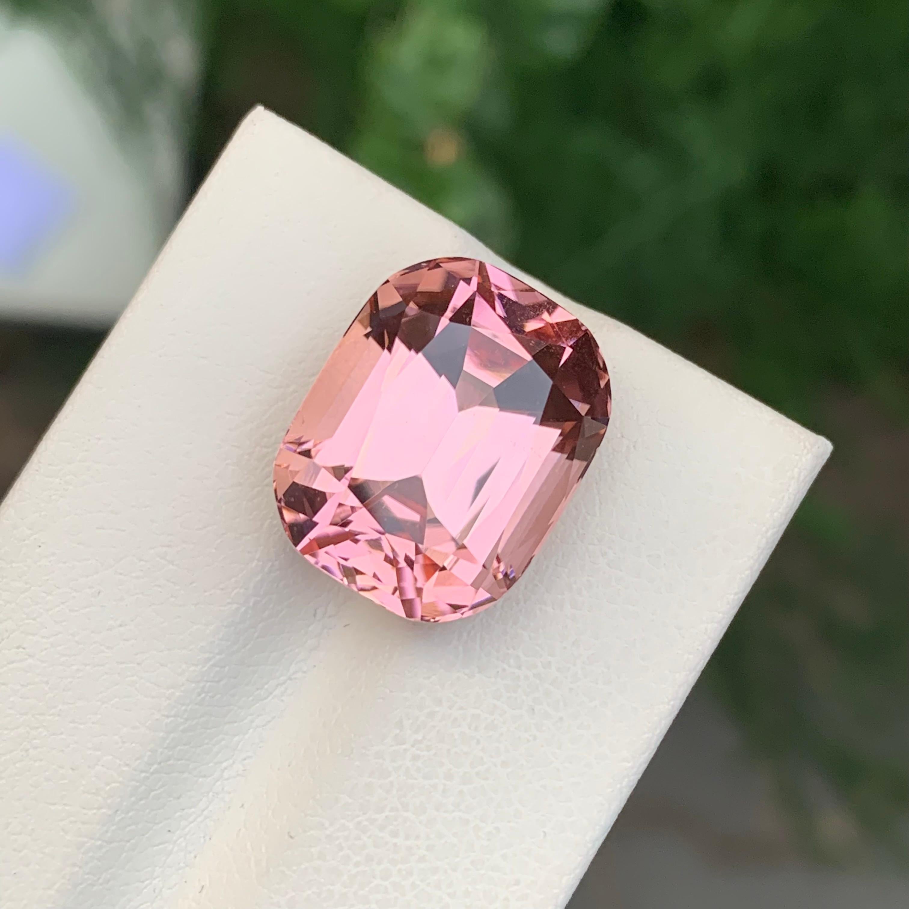 Tourmaline rose pêche facettée

Poids : 18,10 carats
Dimension : 16,8 x 13,3 x 10,9 mm
Couleur : Rose pêche 
Traitement : Non
Certificat : Sur demande du client
Forme : Coussin 


La tourmaline est une pierre précieuse captivante connue pour sa