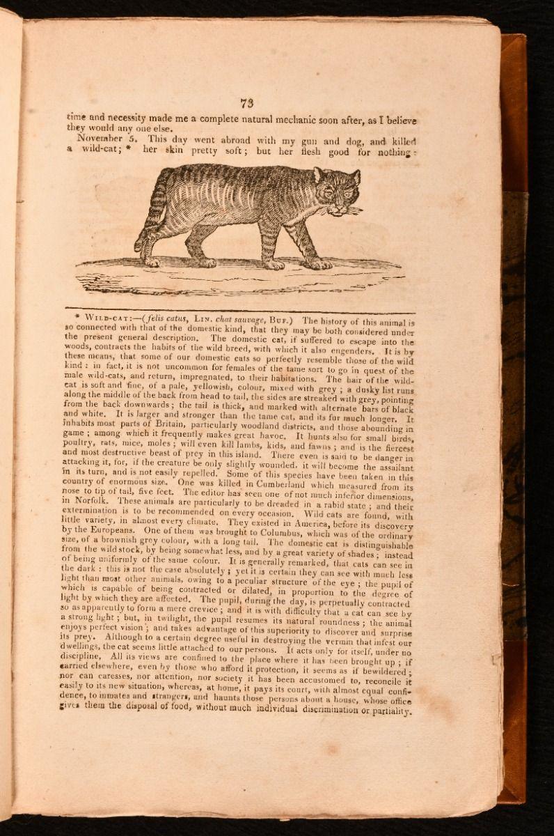 Paper 1815 Robinson Crusoe For Sale