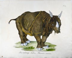 1816 Rhinoceros, Imp. Folio 42.5 Cm, 'Incunabula of Lithography', hand color