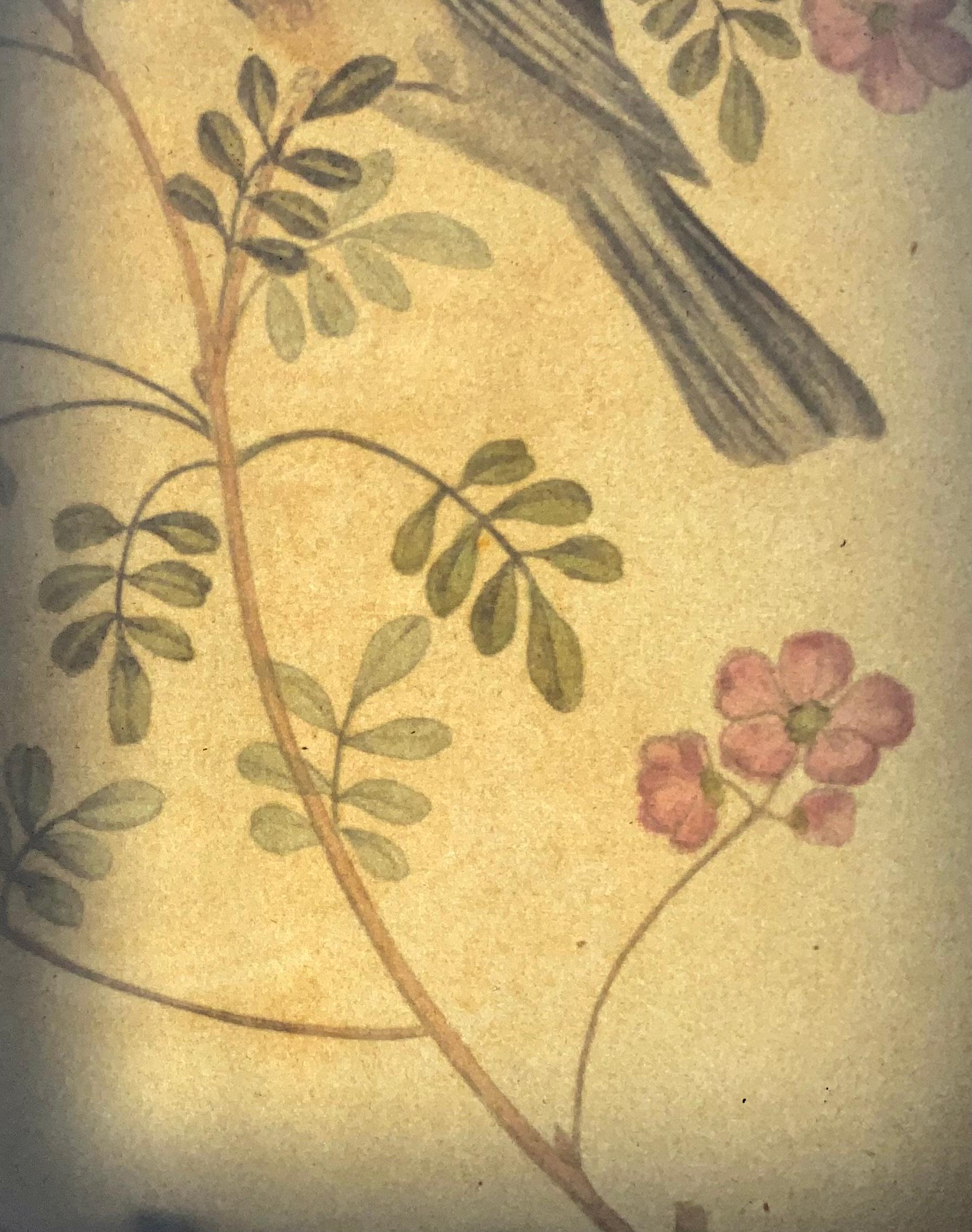 Paper 1819, George Brookshaw, Ornithology, Goldfich, Foliate Border For Sale