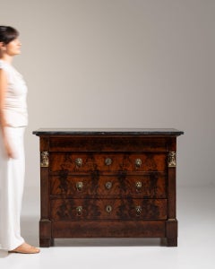 1820-1829 France Rich Mahogany Flame-Veneer Mahogany Chest