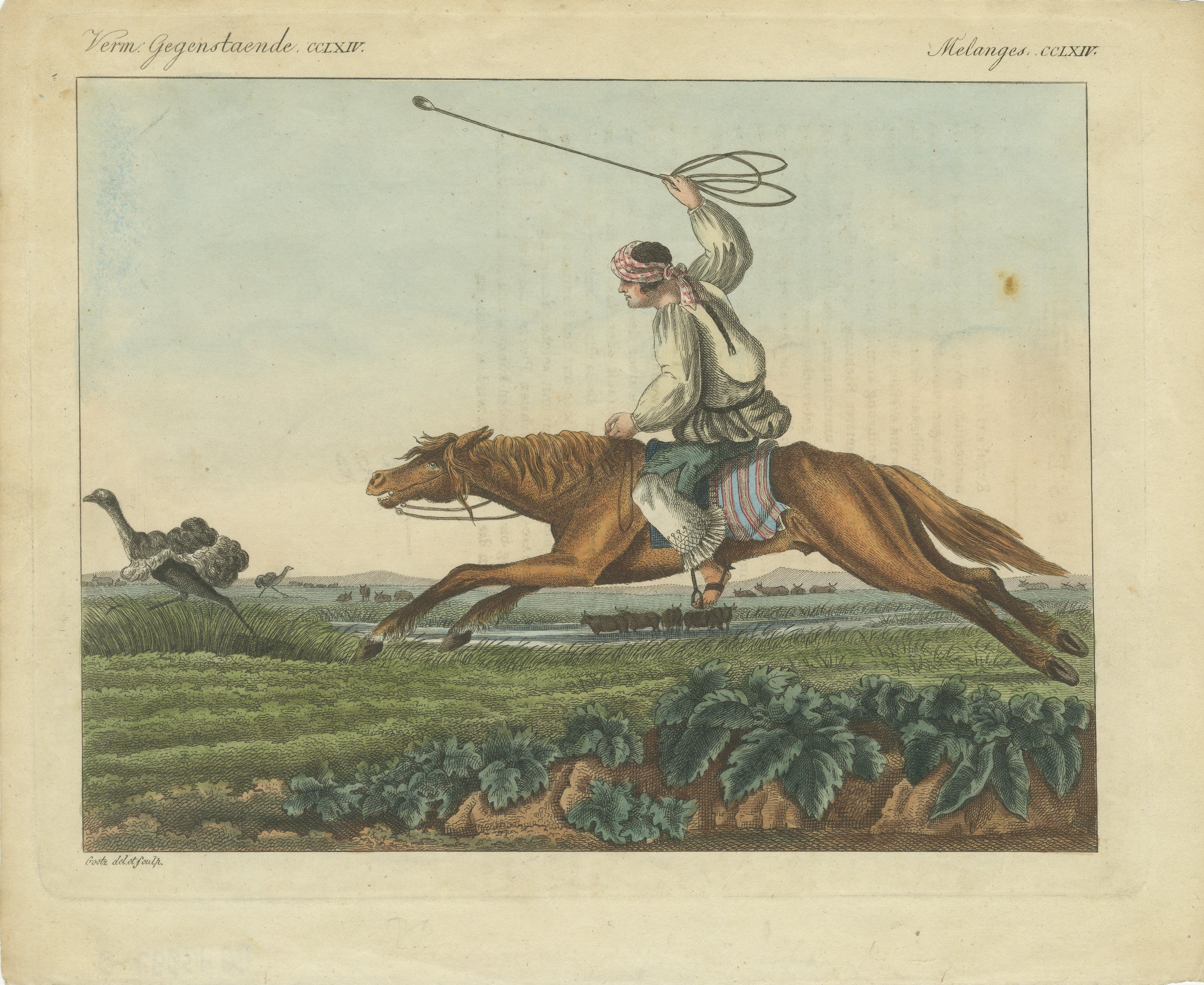  1823 Handkolorierter Kupferstich - Gaucho auf Straußenjagd mit Bolas in der Pampa

Beschreibung: Dieser handkolorierte Kupferstich von Theodore Goetz aus dem Jahr 1823 stammt aus dem 
