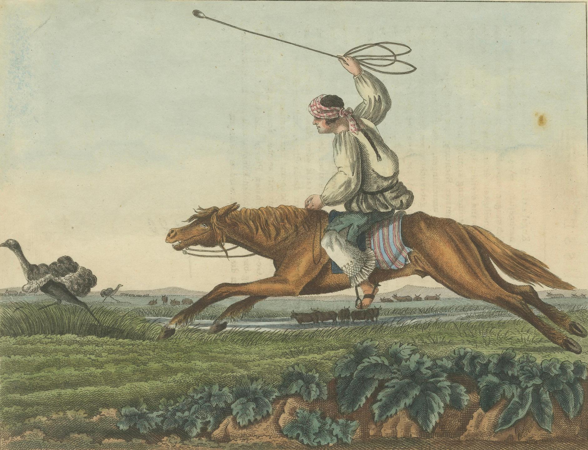 1823 Handkolorierter Kupferstich - Gaucho auf Straußenjagd mit Bolas in der Pampa (Papier) im Angebot