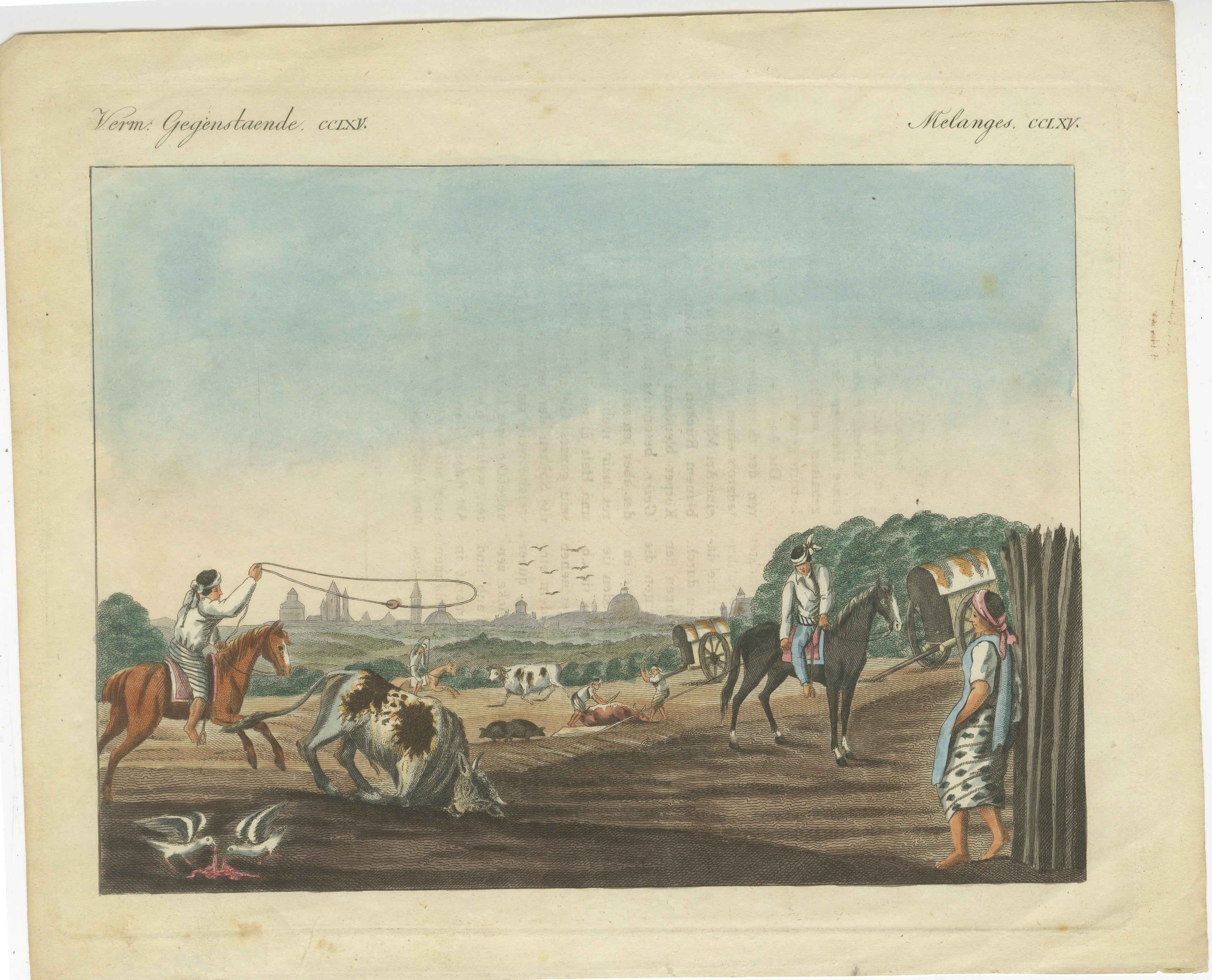 Incisione colorata a mano del 1823 - Gauchos che prendono al lazo il bestiame a Buenos Aires, Argentina

Descrizione: Questa incisione in rame colorata a mano del 1823, tratta dal 