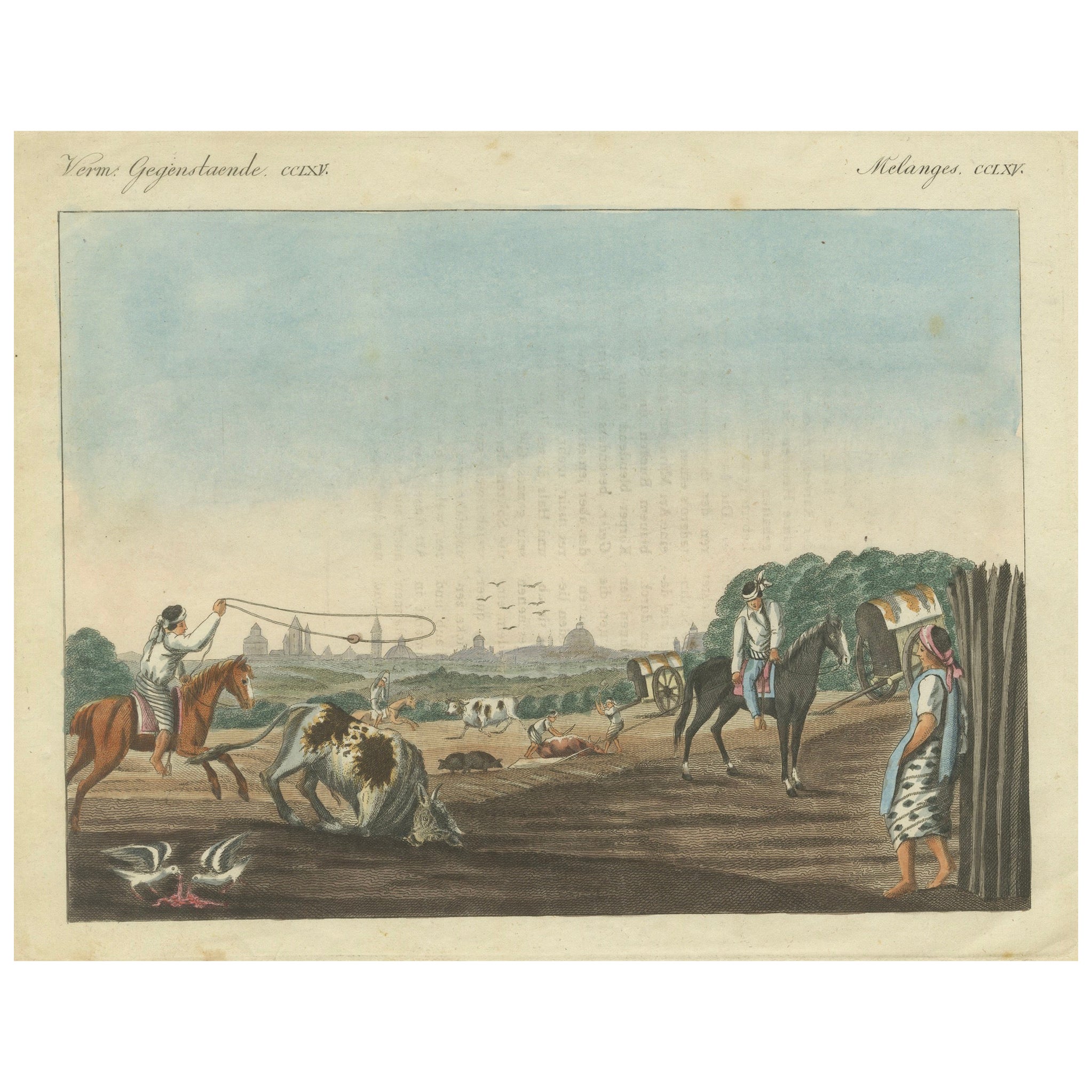 1823 Old-Coloured Engraving - Gauchos Lassoing Cattle in Buenos Aires, Argentina For Sale