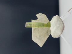 18,25 Karat atemberaubender Turmalin auf rauchfarbenem Quarz aus der Paprook-Mine, Afghanistan