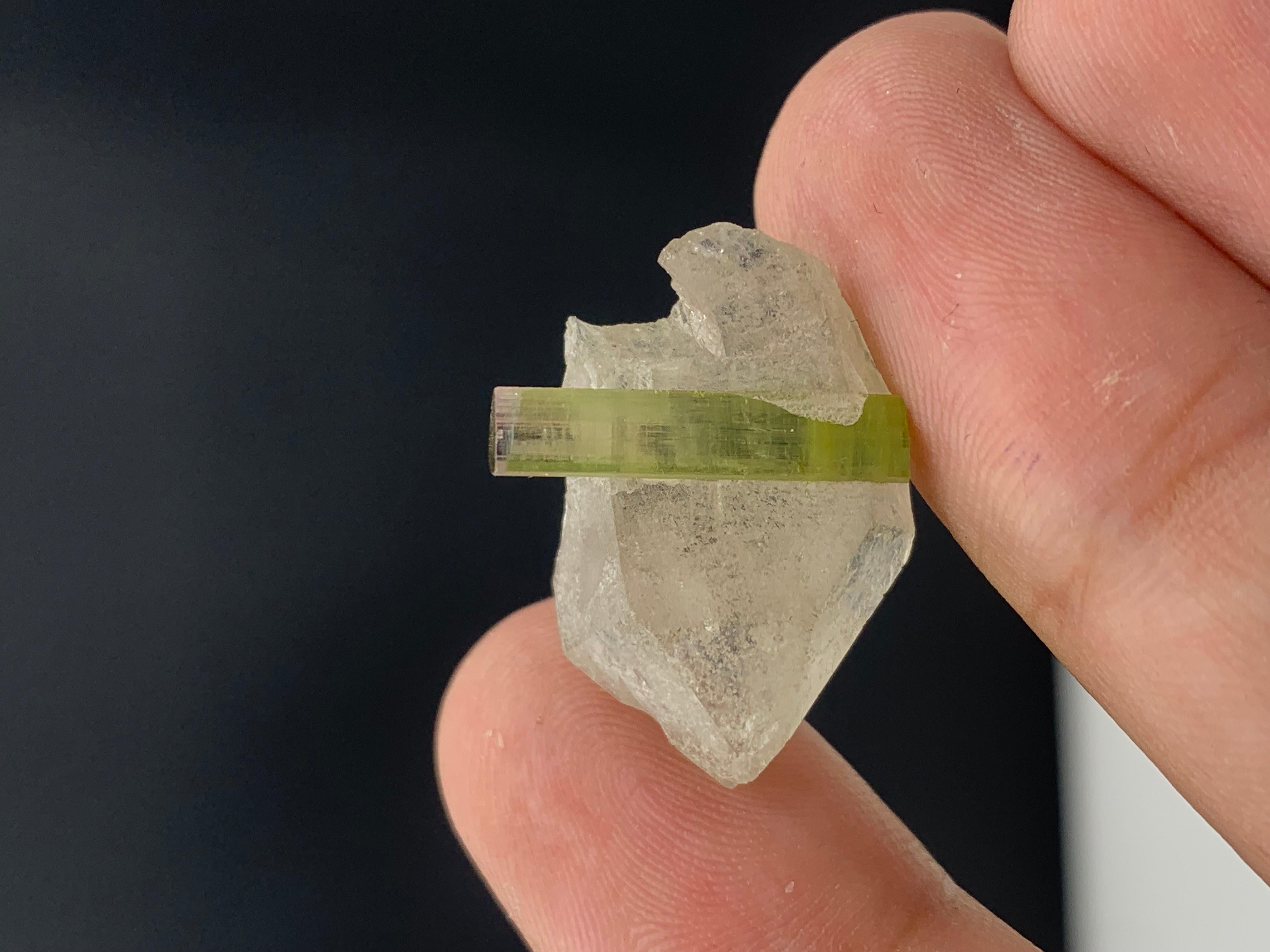 18,25 Karat atemberaubender Turmalin auf rauchfarbenem Quarz aus der Paprook-Mine, Afghanistan (Bergkristall) im Angebot