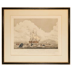 1825 Hand-Colored Aquatint Engraving by T. Sutherland "South Sea Whale Fishery"