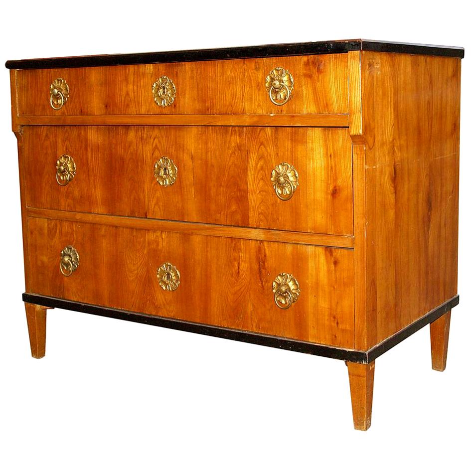 1830 Biedermeier Chest of Drawers For Sale
