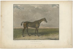 1830s-1850s Hand-Colored Engravings of Racehorses Fleur-de-Lis to Whisker